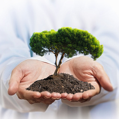 Heilkundezentrum Midgard und HeilpraktikerInnen, PhysiotherapeutInnen, TherapeutInnen in Bremen Heiklundezentrum Midgard, Bremen und Therapeuten: HeilpraktikerIn, PhysiotherapeutIn