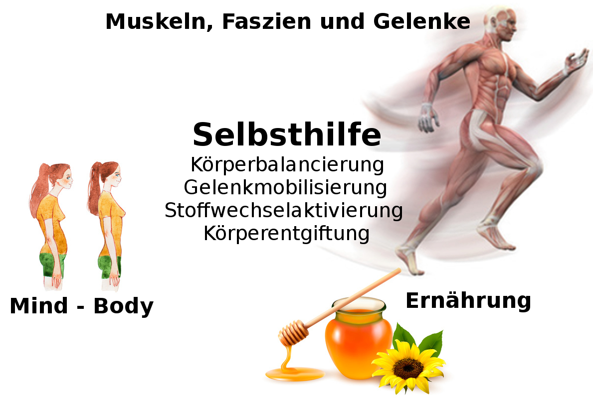 Das Seminar in Bremen - Gelenke, Faszien, Training - Stark und Geschmeidig Gelenke, Faszien, Training - Stark und Geschmeidig - das Seminar in Bremen