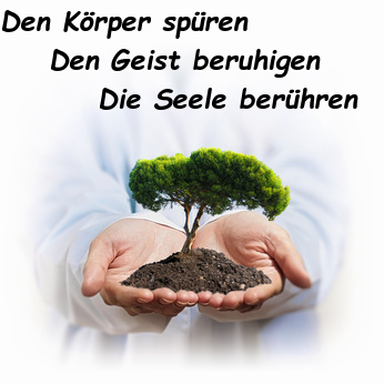 Vormittags und Abendkurs in Bremen: Vinyasa Yoga und Yin Yoga in Bremen Mitte / Zentrum Yoga Vormittag und Yoga Abendkurs in Bremen