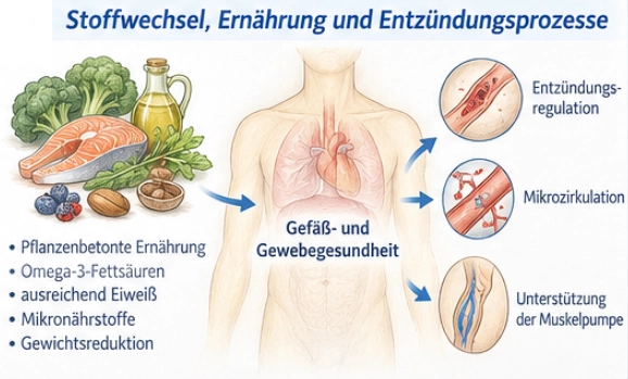 Pflanzenbetonte Ernährung,
 Omega-3-Fettsäuren und Mikronährstoffe im Zusammenhang mit Gefäß- und Gewebegesundheit